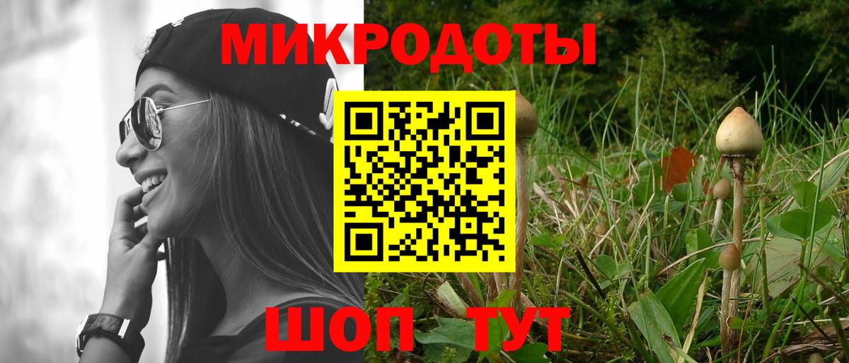 Галлюциногенные грибы мухоморы  Вход с VPN  Заволжье 