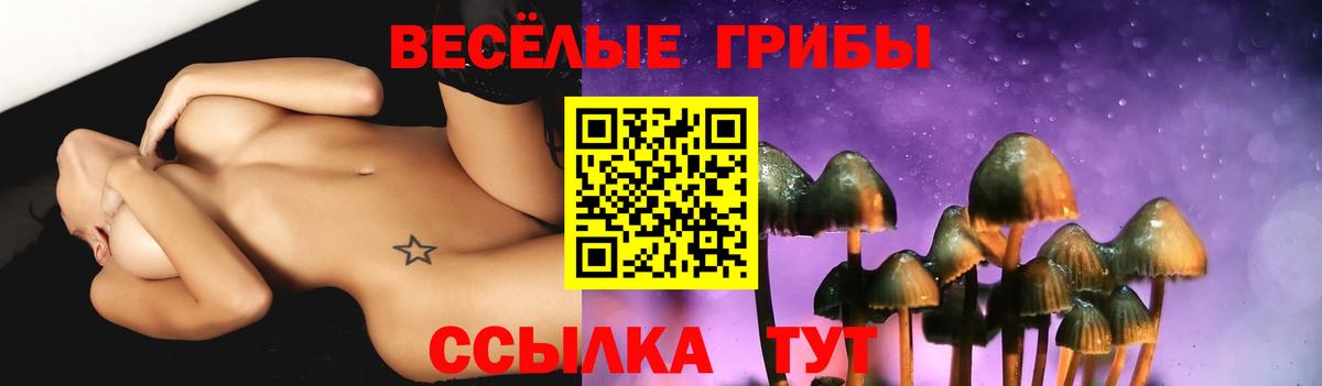 Псилоцибиновые грибы Cubensis Заволжье