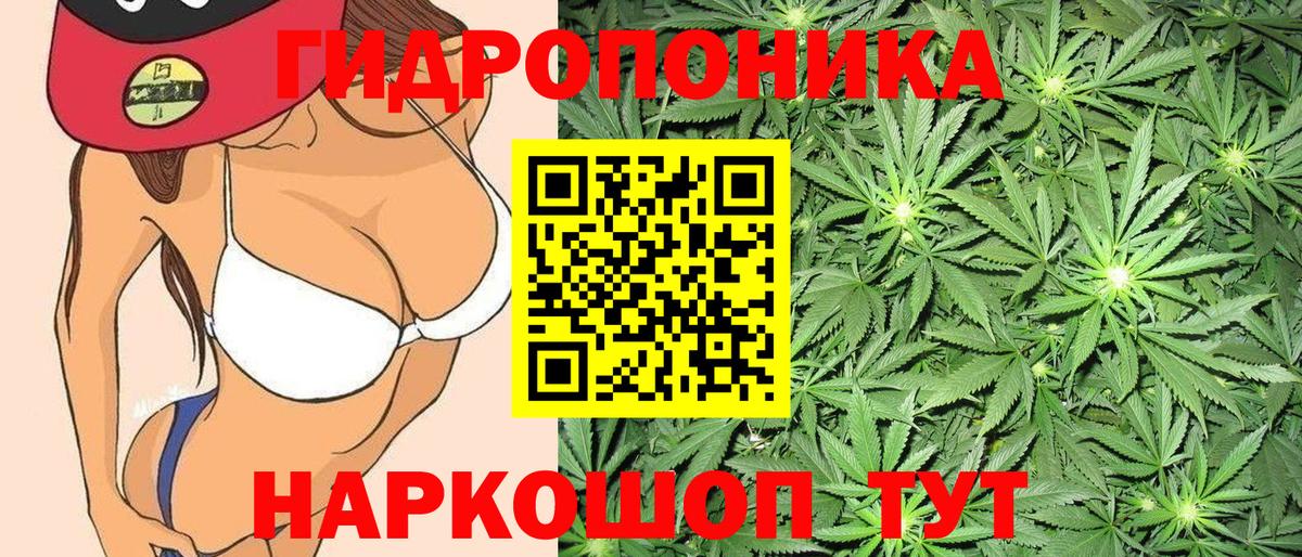 Канабис MAZAR Заволжье